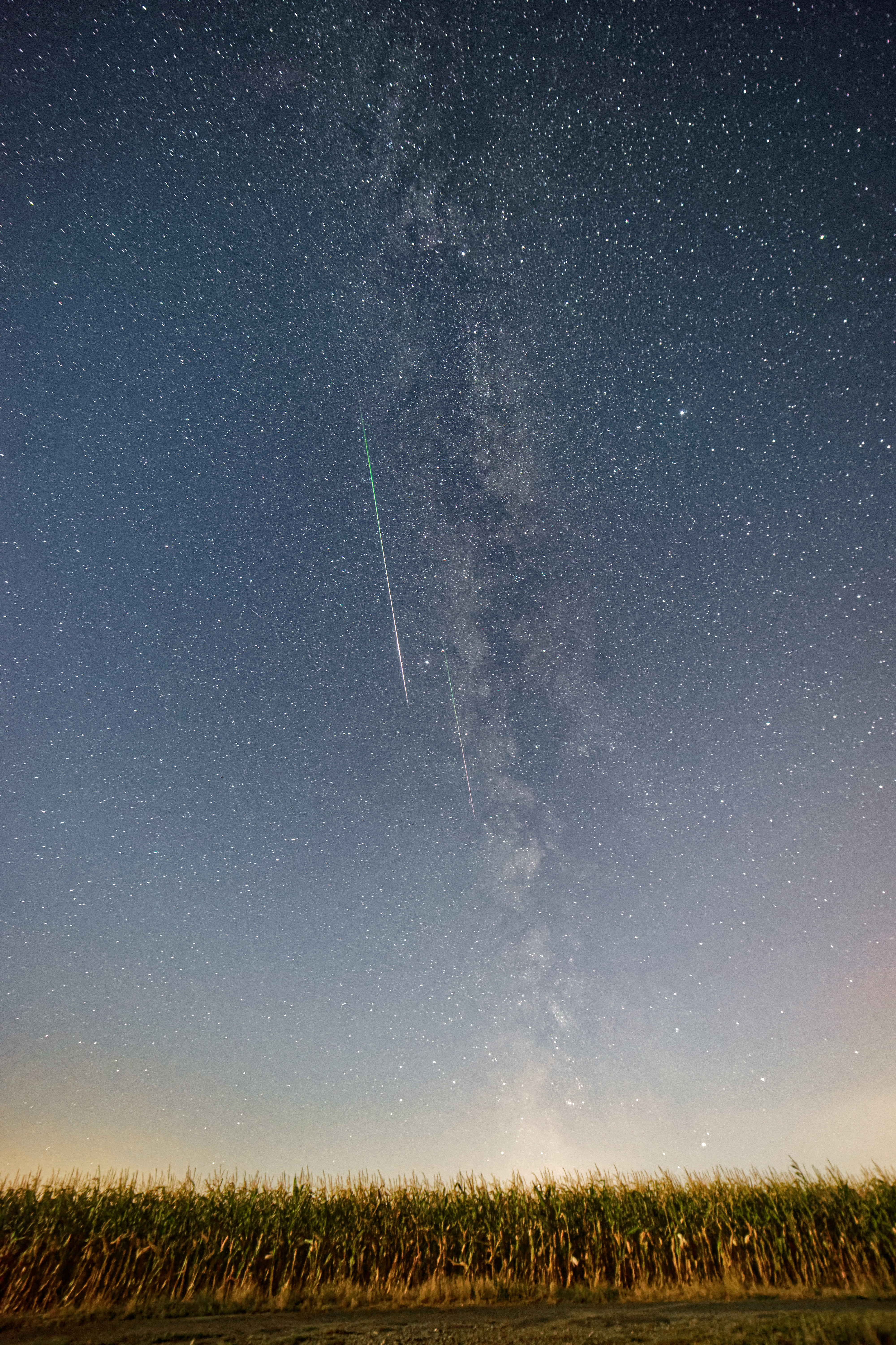 Voie lactée et étoiles filantes au-dessus d'un champ